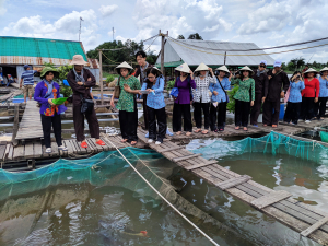 du khách tham quan bè cá tại cồn sơn