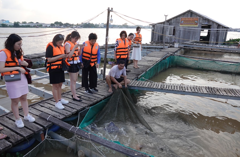 du khách tham quan bè cá bảy bon