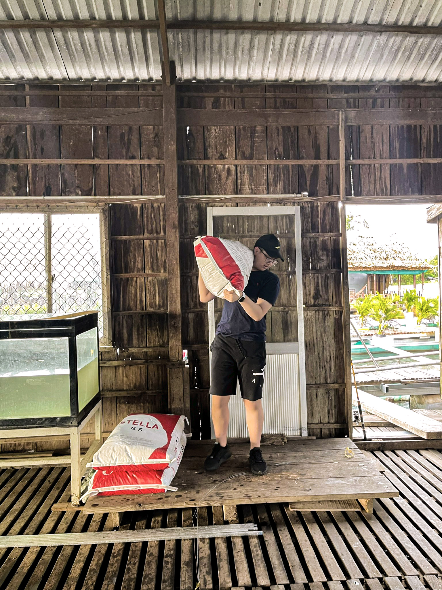 cả nhóm học cách bốc vác tại bè cá 1